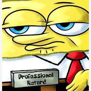 Professional Retard
